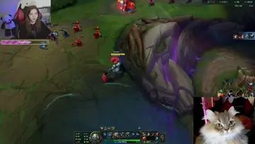 xdxd