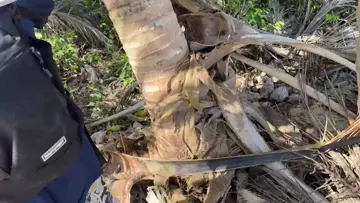 consiguiendo fuentes de hidratacion 