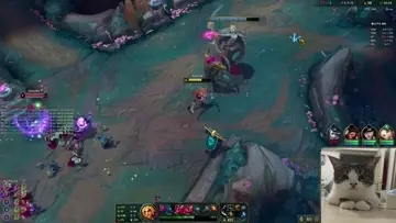 gameplay