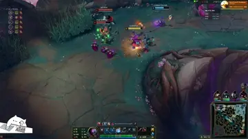 Jax baba