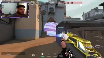 Nice dog Nice Spray