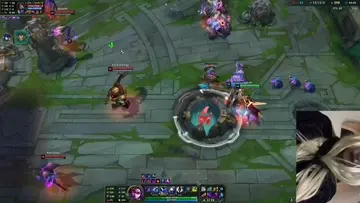 sığır teemo