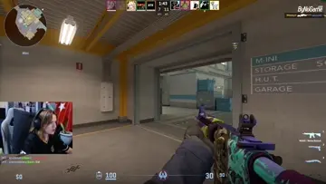 Ace1