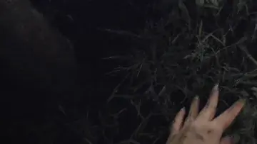 touching grass