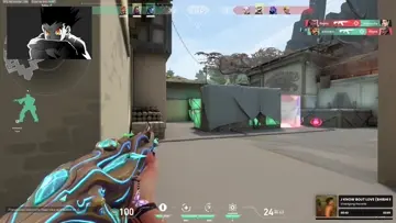 ta pega