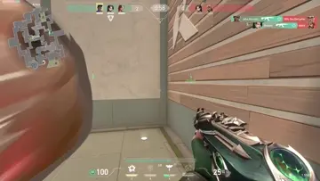 xd