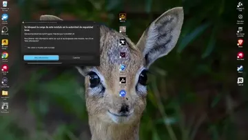 ciervo streamer 😂