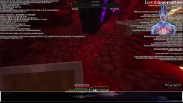 spin domuz