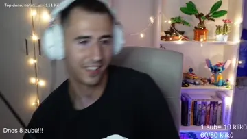 král v zámku