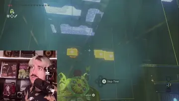 zelda and TTs tester 