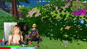 MissLeemaLeeKick Bush Bounty - Fortnite