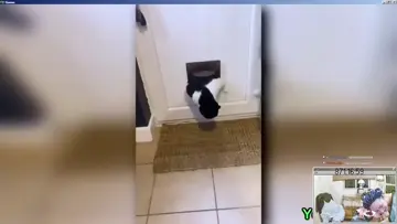 Mission: Impossible