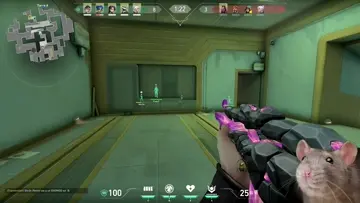 XDDDDDDDDDDDDDDDDDDDDDDDDDDDDDDDDDDDDD