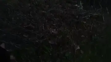 Short cut basterd farted in my face