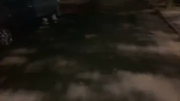 ME SAQUE LA XUXA
