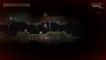gambleo gone wrong
