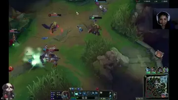 mejor bot aguaw turbias 