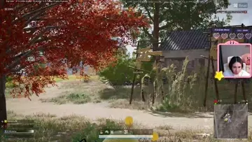 Hit n Run 