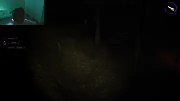 CAGO KORKUDAN KULAKLIĞI ÇIKARIYOO!