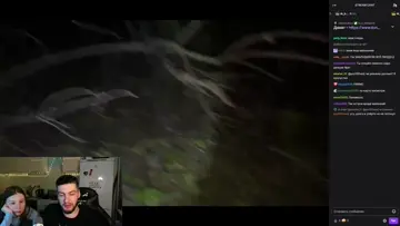 ставочка
