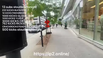 IRL BOSSES