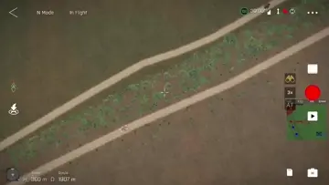 FOREST FIGHT