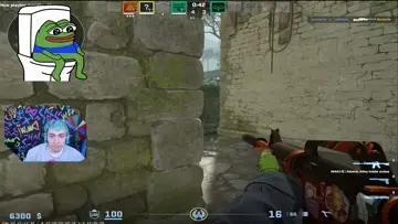 PROC JE CUKY LVL5