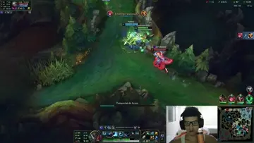 xd