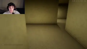 GRITOS Y DESESPARACION 1