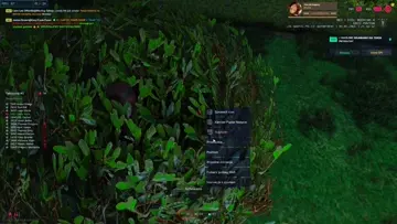 XD