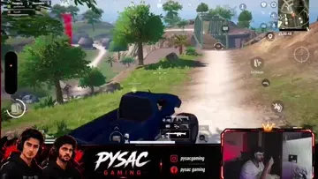 chicken missed