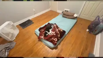 Bow Out... !ribbit !tts | Clip