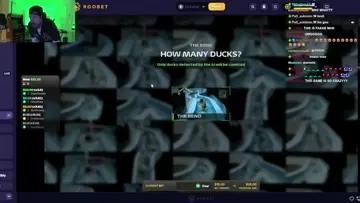 Duck cctv hit