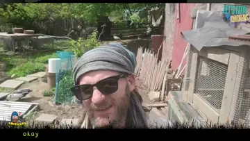 homestead streamer