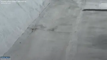 look at that  bird