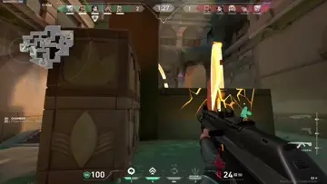 reflex Show