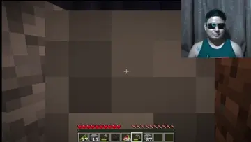 NIVELES
