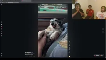 Chopped ahh dog 😂