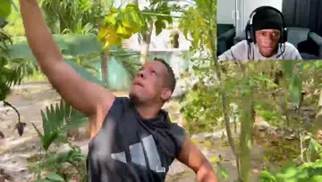 jaja