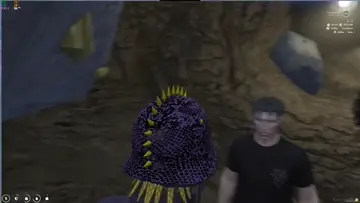 zxcx