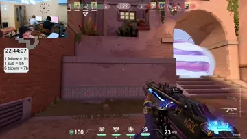 gay