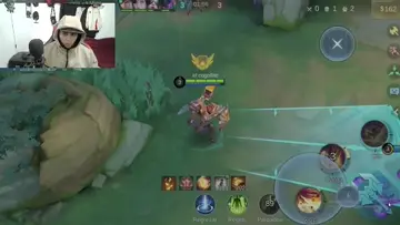 se piko con tigreal
