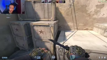 shotgun