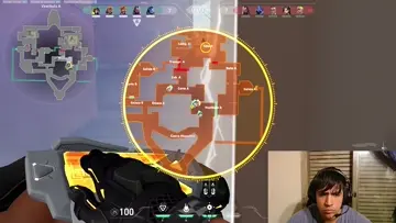 xd