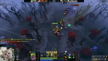 strela hook