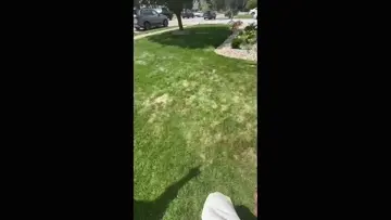 STREAMER CRASHES INDIAN WEDDING W/ WATER BALLOONS