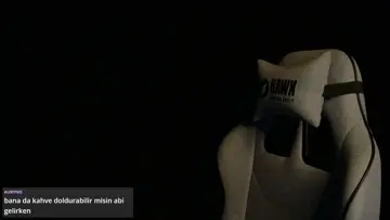 Teddy 1