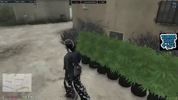 Bobo police