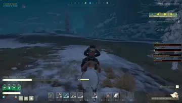 xd