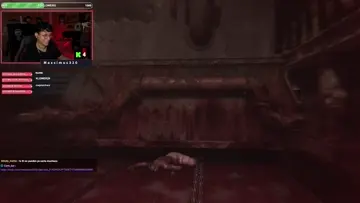 XD